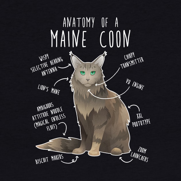 Maine Coon Cat Anatomy by Psitta